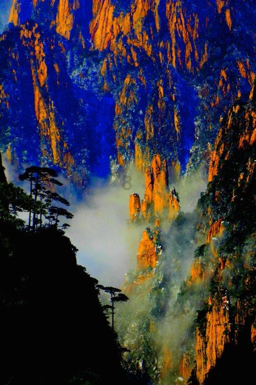 了解知识星球这个同学的腿为什么一条粗一条细?,探索更多精彩知识