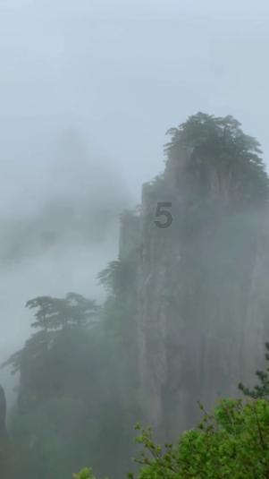 动物帮帮忙保卫家园