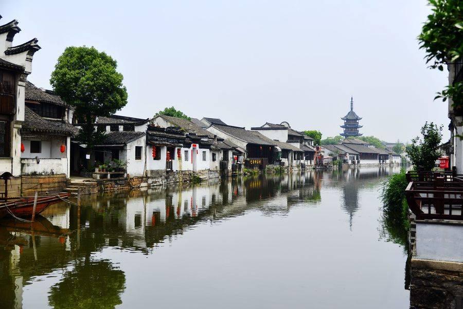探索吉鹿力问答社区,解锁怎样做蘑菇炒肉的奇妙世界!